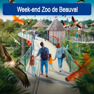 Du samedi 29 juillet au dimanche 30 juillet 2023
Profitez d'un week-end dans l'un des 15 plus beaux zoos au monde. Le Zoo Parc de Beauval est un lieu magique et inoubliable.