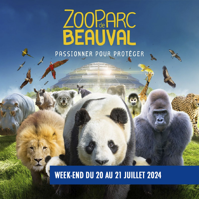 Samedi 20 juillet au dimanche 21 juillet 2024
Profitez d'un week-end dans le 4ᵉ plus beaux zoos au monde. Le Zoo Parc de Beauval est un lieu magique et inoubliable.