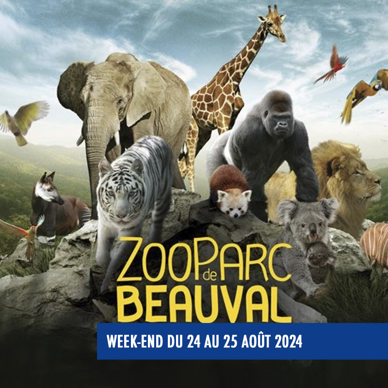 Samedi 24 août au dimanche 25 août 2024
2ᵉ session. Profitez d'un week-end dans le 4ᵉ plus beaux zoos au monde. Le Zoo Parc de Beauval est un lieu magique et inoubliable.